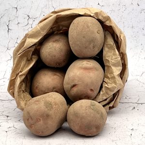 Bildtstar, 2,5kg