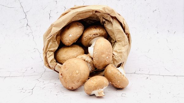 Champignons, kastanje