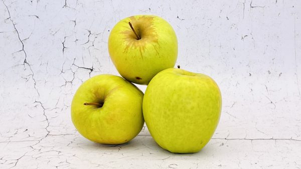 Golden Delicious