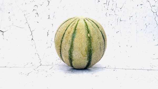 Meloen, cantaloupe