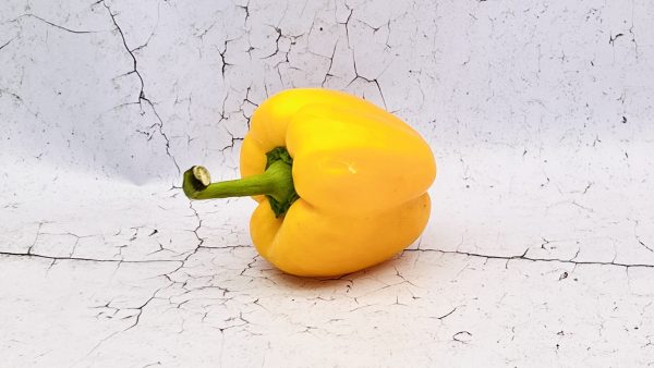 Paprika, geel