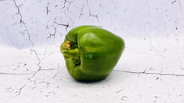 Paprika, groen