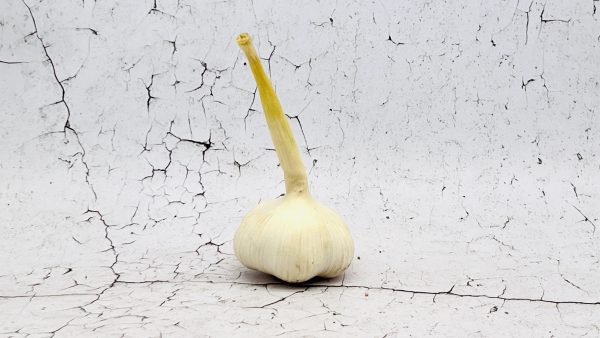 Knoflook