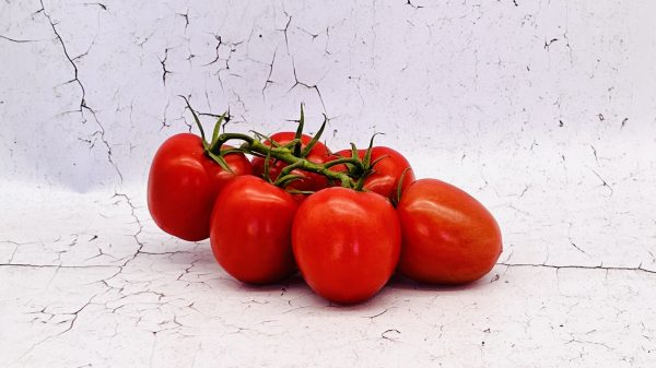 Tomaten, roma