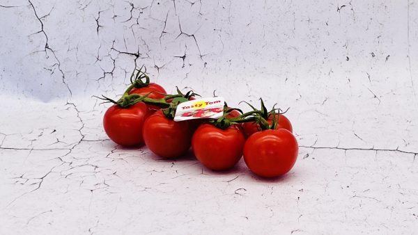 Tomaten, tasty tom