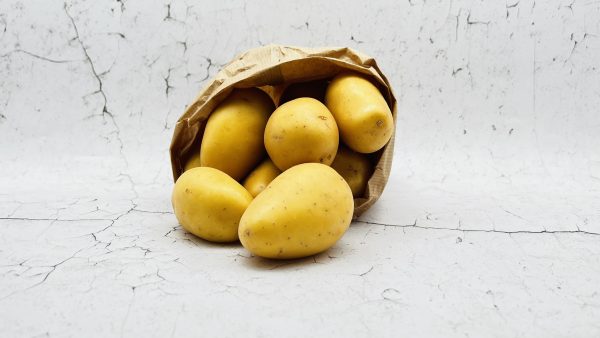 Aardappel, gewassen kriel