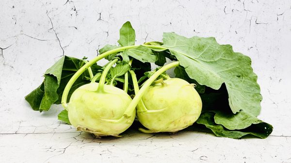 Koolrabi