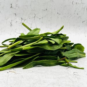 Lamsoren