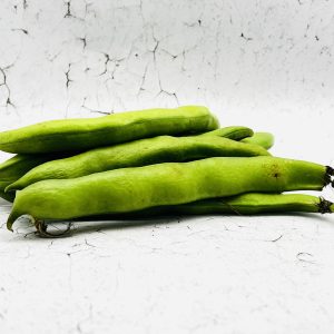 Tuinboon