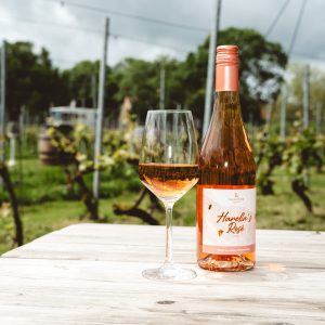 Harella's Rosé, Wijngaard Luysterburg